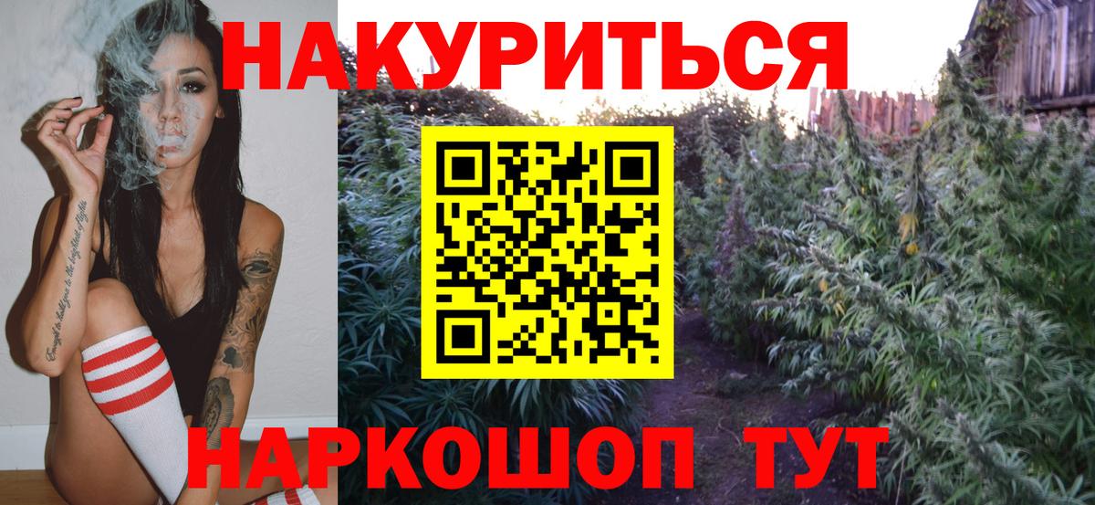 МАРИХУАНА сатива Новозыбков